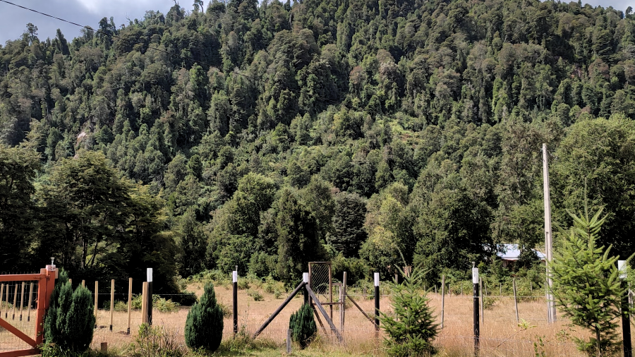 Paisaje natural circundante